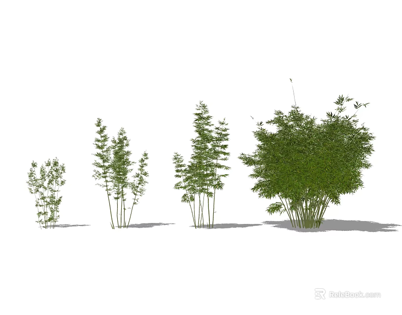 Various Bamboo Plants In Different Heights With Lush Green Leaves And Natural Forms 3d model 