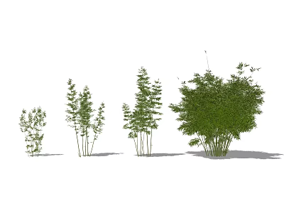 Various Bamboo Plants In Different Heights With Lush Green Leaves And Natural Forms 3d model