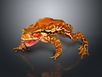 Close up Vibrant Orange Brown Patterned Reptile with Open Mouth and Claws on Dark Background 3d model