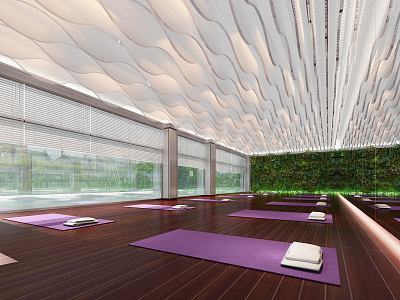 Modern Yoga Room Gym Yoga Room 3d model