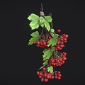 Fresh Red Berries with Green Leaves Hanging on Black Background