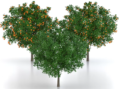 Three Arbor Trees With Lush Green Leaves And Abundant Orange Fruits 3d model