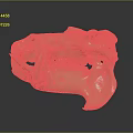 Copper Colored Animal Skull Anatomical Model For Medical Education And Training