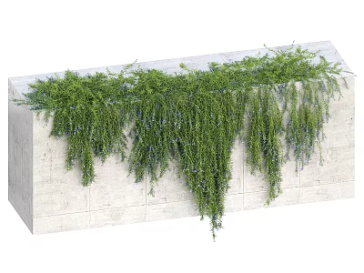 Green Hanging Vines Growing On Concrete Planter Box With Lush Foliage 3d model
