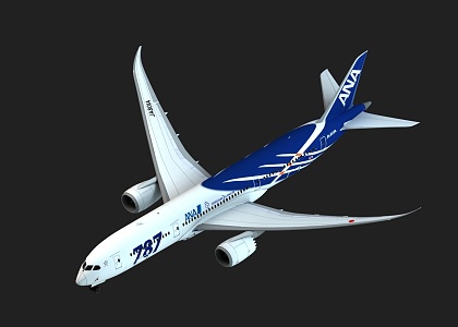 Boeing 787 Aircraft 3d model