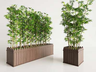 Lush Green Bamboo Plants In Rectangular And Square Wooden Planters 3d model