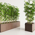 Lush Green Bamboo Plants In Rectangular And Square Wooden Planters 3d model