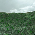 Modern Mountain Tropical Forest 3d model