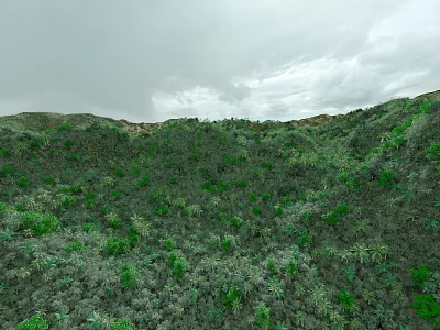 Natural Garden Landscape With Green Hillside Covered In Lush Vegetation Under Cloudy Sky 3d model