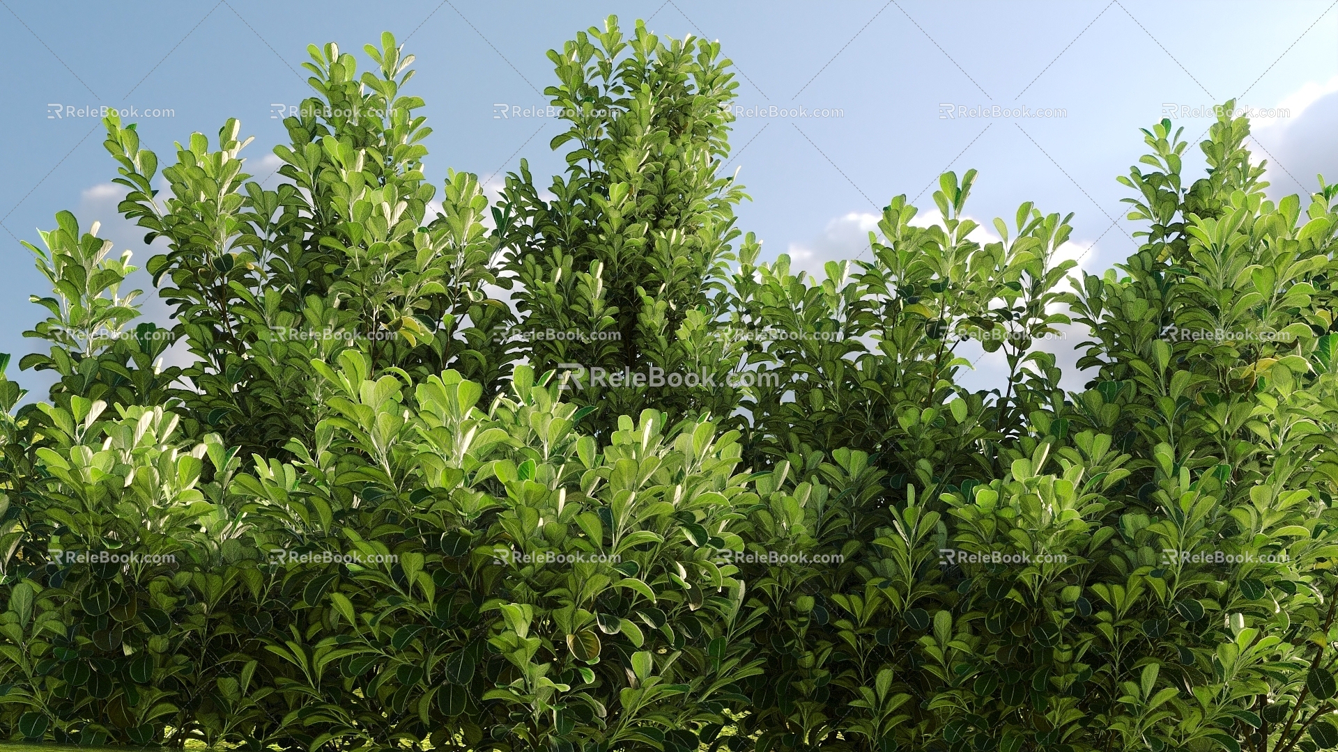 Modern Landscape Shrub Shrub Plant Combination Natural Landscape 3d model