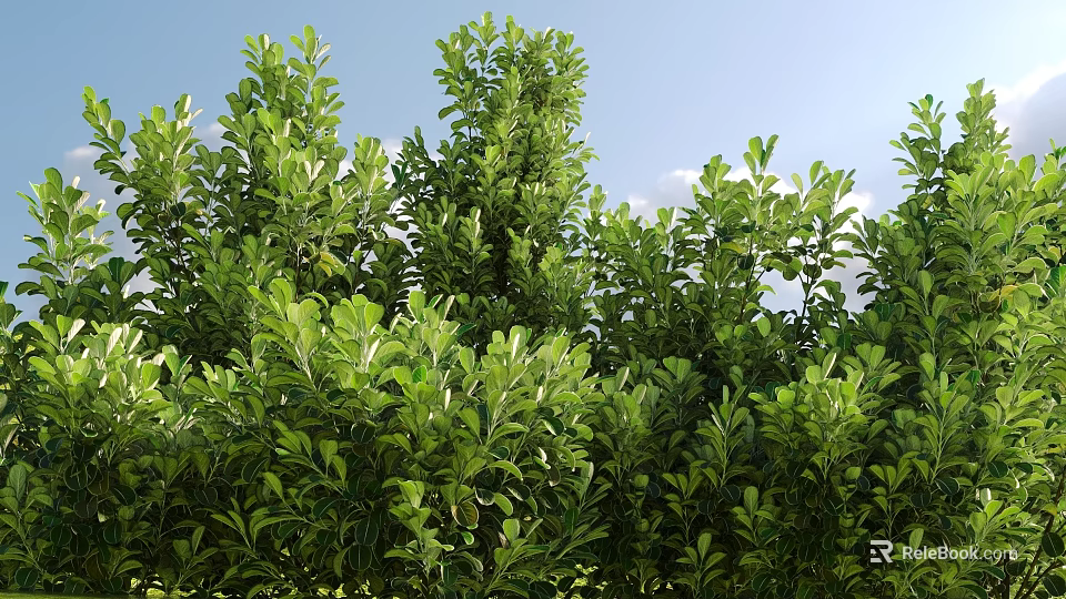 Lush Green Shrubs With Dense Foliage Thriving Under Bright Blue Sky 3d model 