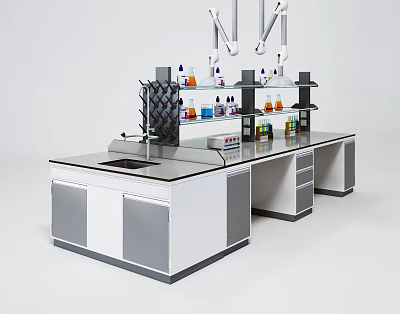 Lab Functional Workbench With Upper Shelves Holding Reagent Bottles And Lower Cabinets Drawers 3d model