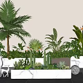 Indoor Plant Combination With Palm Monstera Cactus Succulents In White Planters And Gray Wall Background