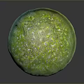 Fresh Green Mushroom with Vibrant Cap and Light Colored Stem as Edible Food