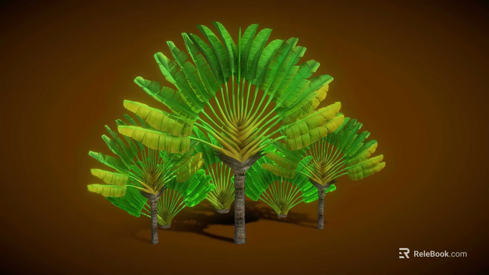 Fresh Green Palm Tree Fruits With Lush Leaves On Brown Background 3d model 