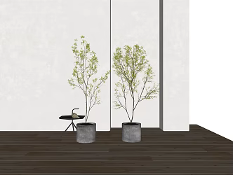 Modern potted plant potted plant green plant ornaments potted plant ornaments 3d model