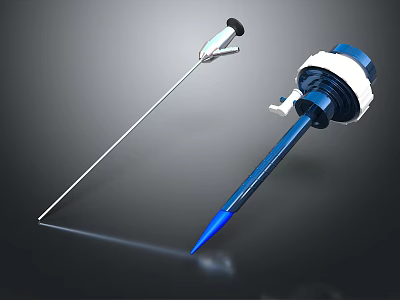 Professional Medical Probes With Metal Shaft And Blue Tip Design For Laboratory Use 3d model