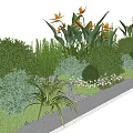 Lush Diverse Shrubs in Garden Landscaping with Orange Flowers Green Grasses and Small White Blooms