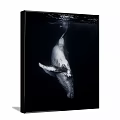 Whale Animal Painting In Black And White Underwater Ocean Scene Artwork