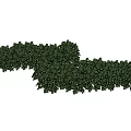 Green Ground Cover Plants With Dense Foliage For Landscape Garden Use