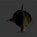 Brown Spotted Aquatic Fish With Long Body Shiny Surface And Fins