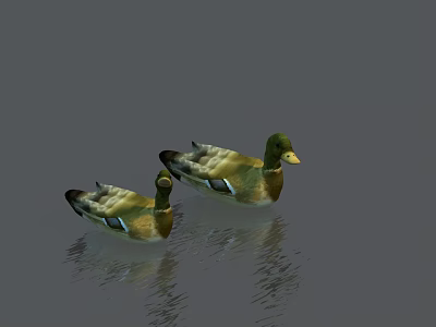 Two Aquatic Reptiles Swimming In Calm Water With Clear Reflections 3d model