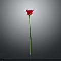 Single Red Rose Plant With Long Green Stem Set Against Plain Gray Background 3d model