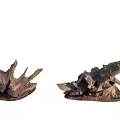 Natural Rustic Stone Wood Decorative Pieces With Unique Shapes And Textures