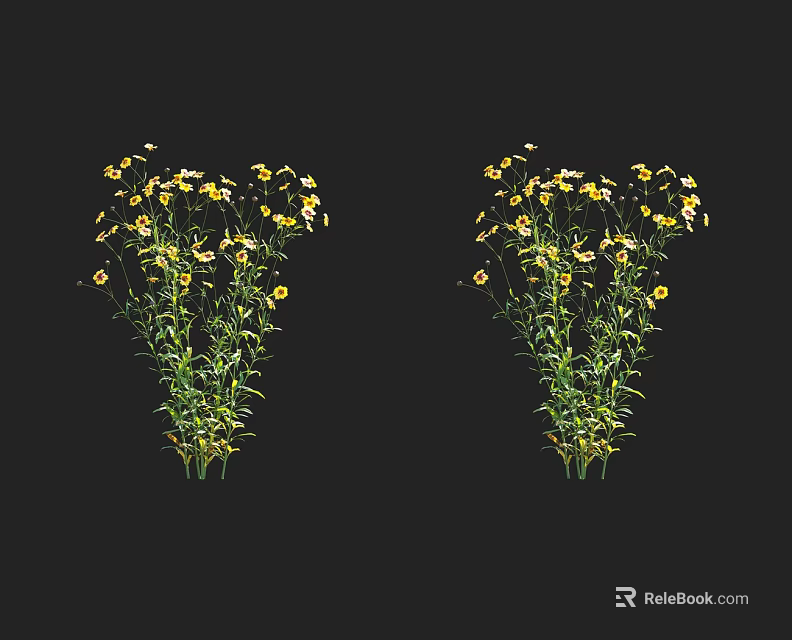 Two Bunches of Fresh Yellow and White Flowers with Green Stems and Leaves 3d model 