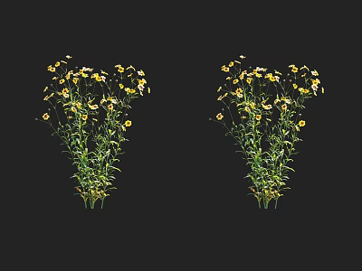 Two Bunches of Fresh Yellow and White Flowers with Green Stems and Leaves 3d model