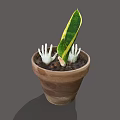 Green Indoor Plant In Terracotta Pot With White Hand Shaped Decorations In Soil