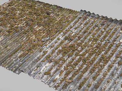 Industrial Equipment Corrugated Metal Roof Covered With Green Moss And Debris 3d model
