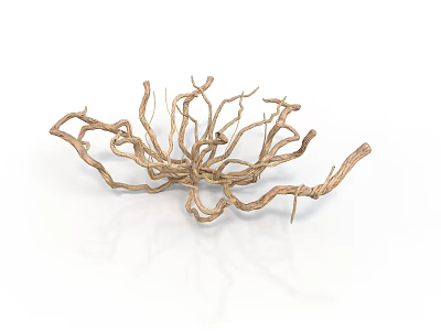 Golden Branched Organ Hair Like Radiating Dry Root Structure On White Reflective Background 3d model