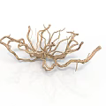 Golden Branched Organ Hair Like Radiating Dry Root Structure On White Reflective Background