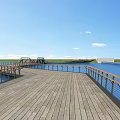Garden Landscape Design With Water Area Wooden Walkway And Green Space