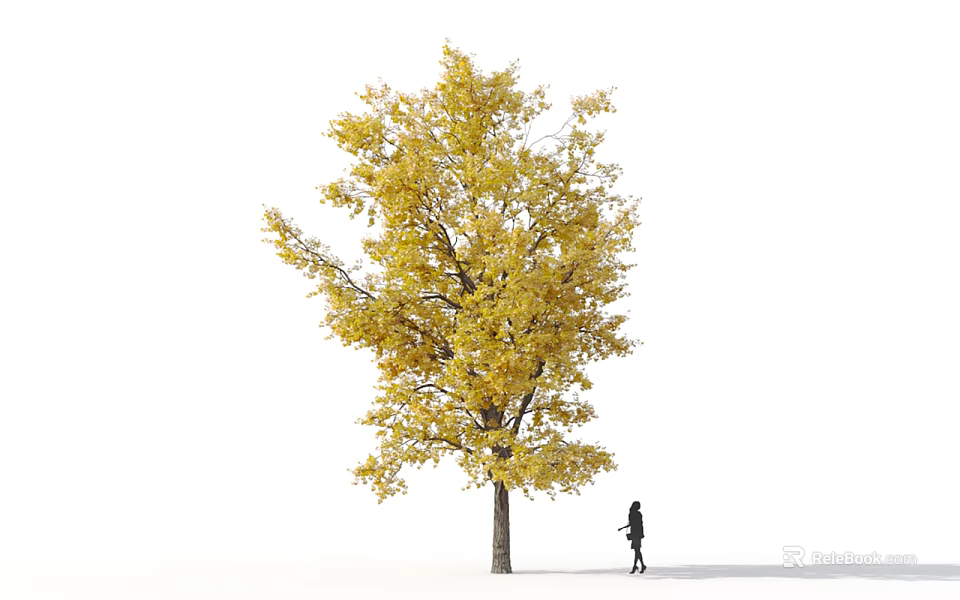 Tall Deciduous Tree With Yellow Leaves And A Person Standing Beside It 3d model 