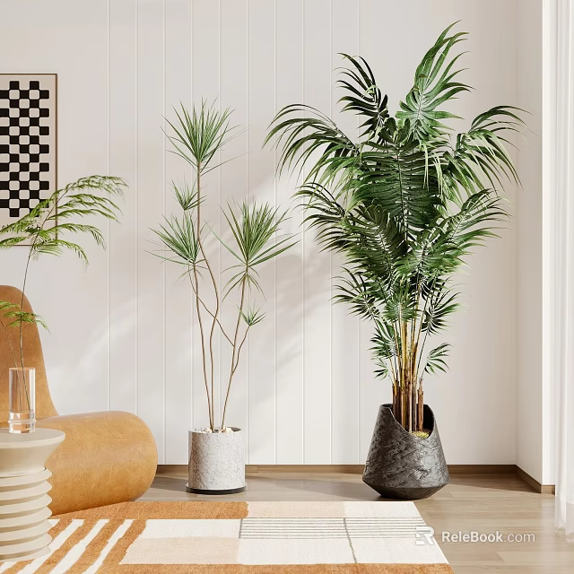 Indoor Bonsai Plants In Different Sizes With White Black Pots And Modern Interior Elements 3d model 