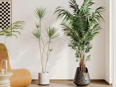 Indoor Bonsai Plants In Different Sizes With White Black Pots And Modern Interior Elements 3d model