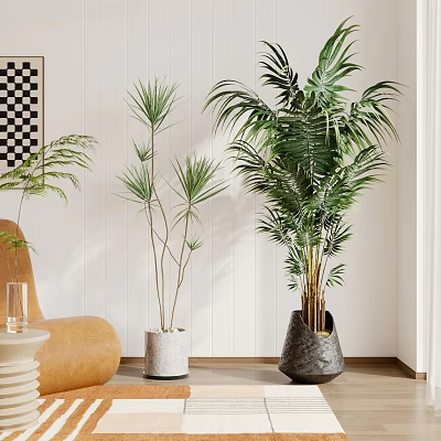 Indoor Bonsai Plants In Different Sizes With White Black Pots And Modern Interior Elements 3d model