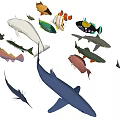 Colorful Marine Creatures Various Fish Shark Whale And Tropical Species Collection