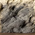 Natural Rock Texture Wall for Interior Design with Rough Surface and Warm Lighting 3d model