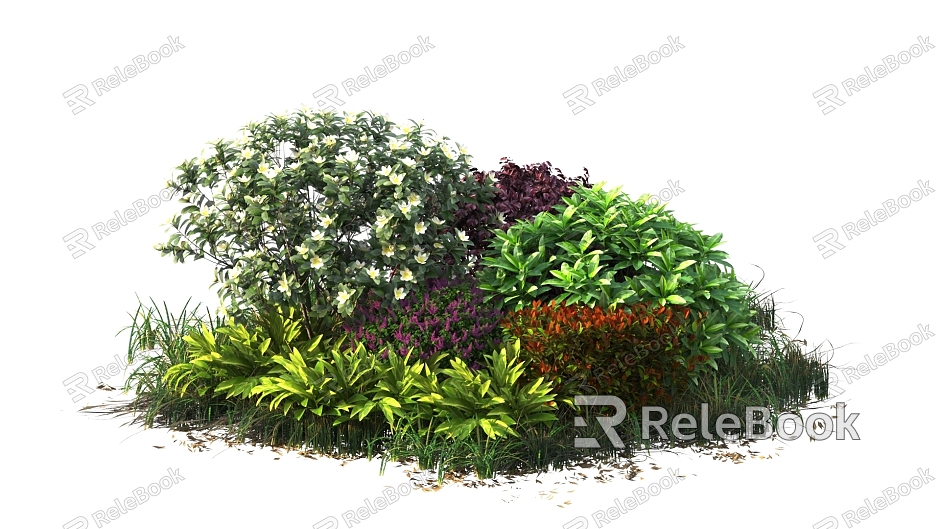 shrub hedge plant model