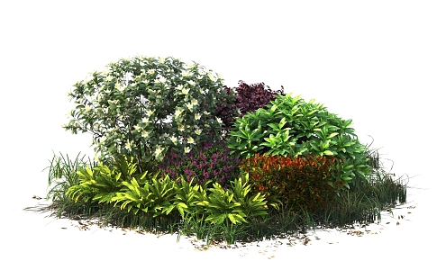 shrub hedge plant 3d model