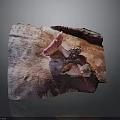 Vibrant Pink Mushroom Growing on a Piece of Weathered Wood with Natural Texture