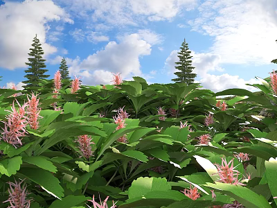 Lush Green Leaves and Pink Flowers with Blue Sky White Clouds and Pine Trees 3d model