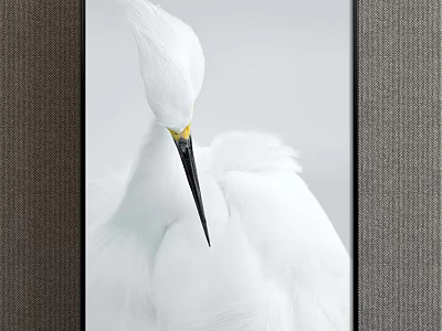 Realistic White Egret Animal Painting With Detailed Feathers And Black Beak 3d model