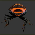 Colorful Beetle With Shiny Exoskeleton Vibrant Red Orange Black Patterns And Green Blue Legs