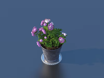 Vibrant Potted Bonsai Plant With Purple Flowers Green Leaves In Metal Pot And Silver Tray 3d model