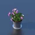 Vibrant Potted Bonsai Plant With Purple Flowers Green Leaves In Metal Pot And Silver Tray