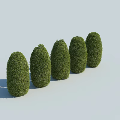 Five Neatly Trimmed Green Bushes Arranged in a Row on Light Colored Background 3d model